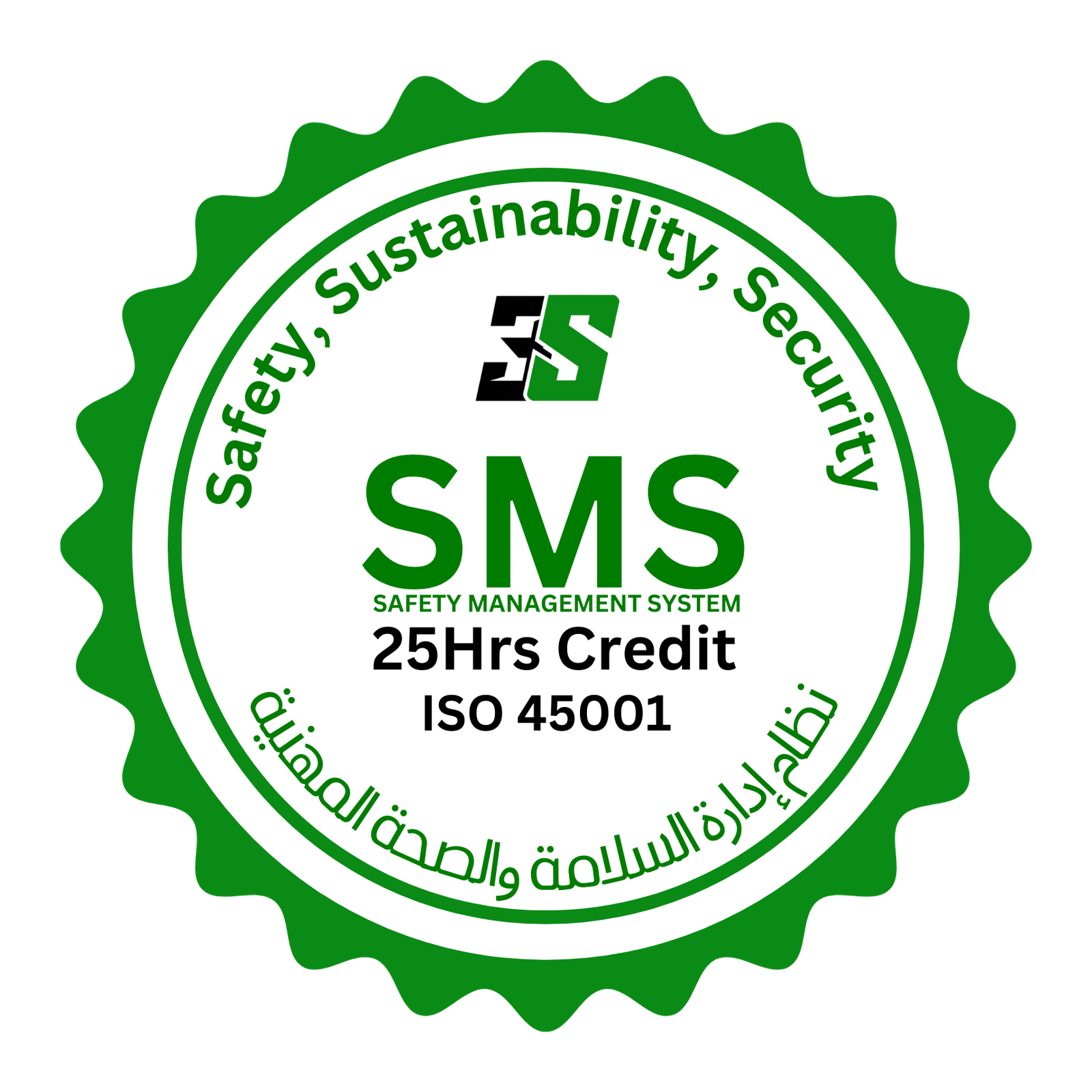 3S Logo